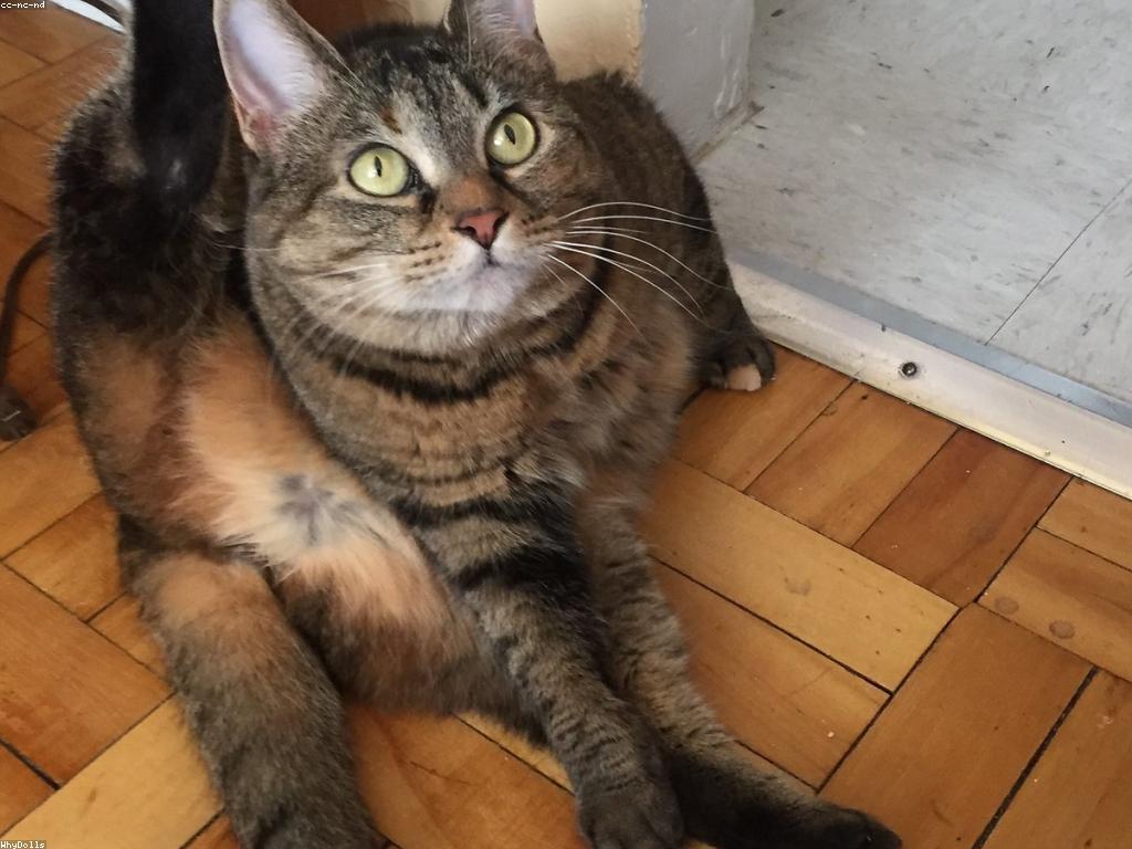 ព័ត៌មានថ្មីៗ និងកែវមុនសម្រាប់ពិភពលោក